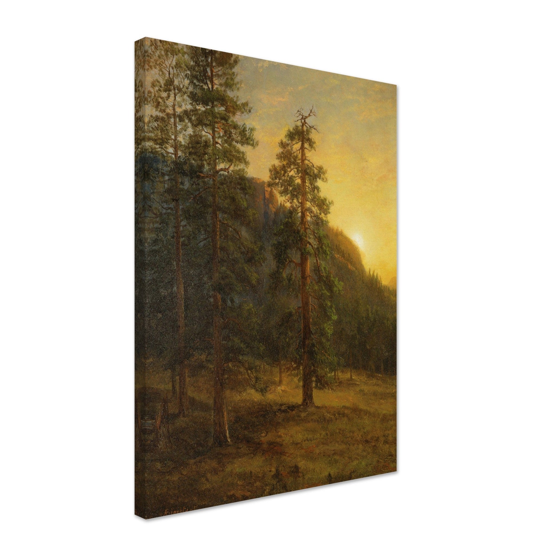 California Redwoods (1872) by Albert Bierstadt - Print Material - Master's Gaze
