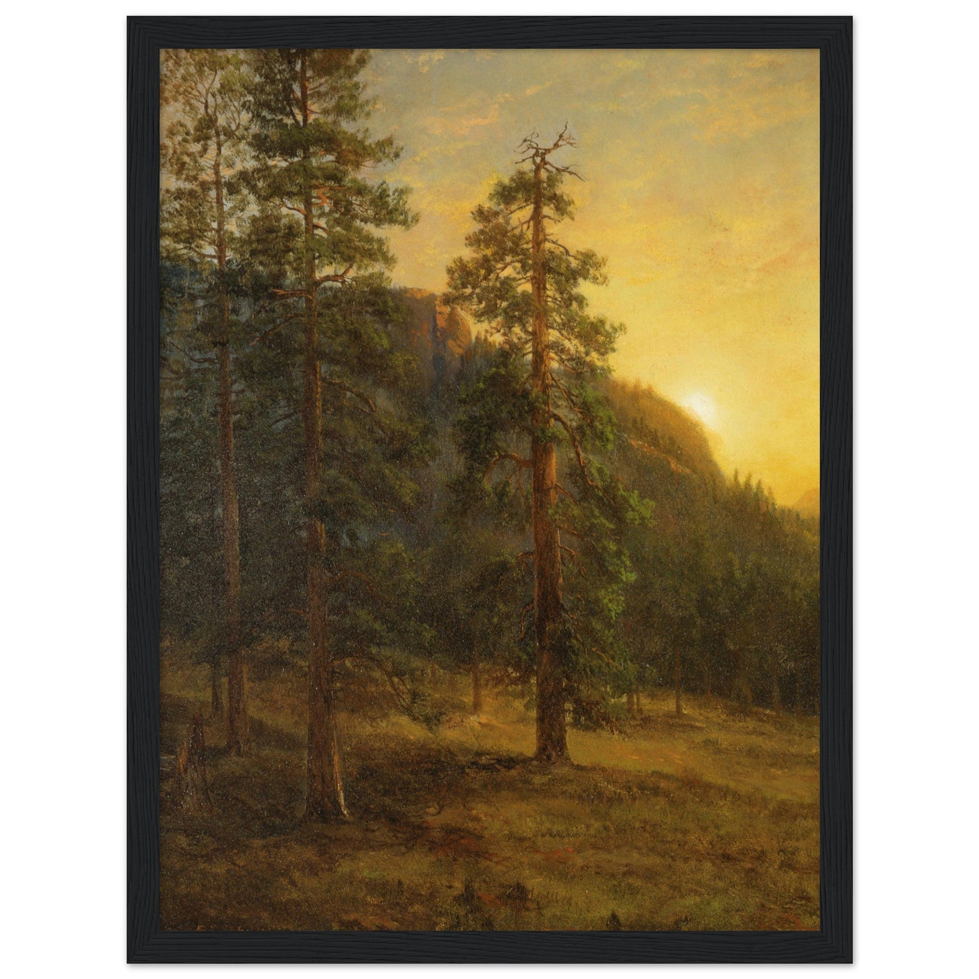 California Redwoods (1872) by Albert Bierstadt - Print Material - Master's Gaze