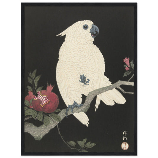 Cockatoo and pomegranate (1925 - 1936) by Ohara Koson - Print Material - Master's Gaze