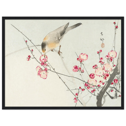 Songbird on blossom branch (1900 - 1936) by Ohara Koson - Print Material - Master's Gaze