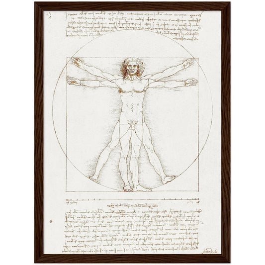 Vitruvian Man - Leonardo da Vinci - Print Material - Master's Gaze