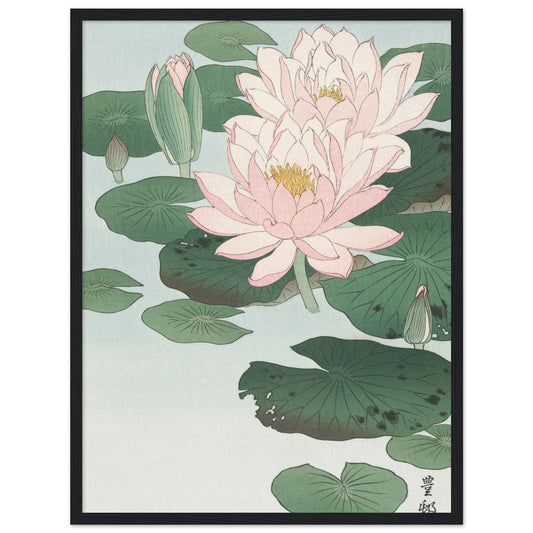 Water Lily (1920 - 1930) by Ohara Koson - Print Material - Master's Gaze